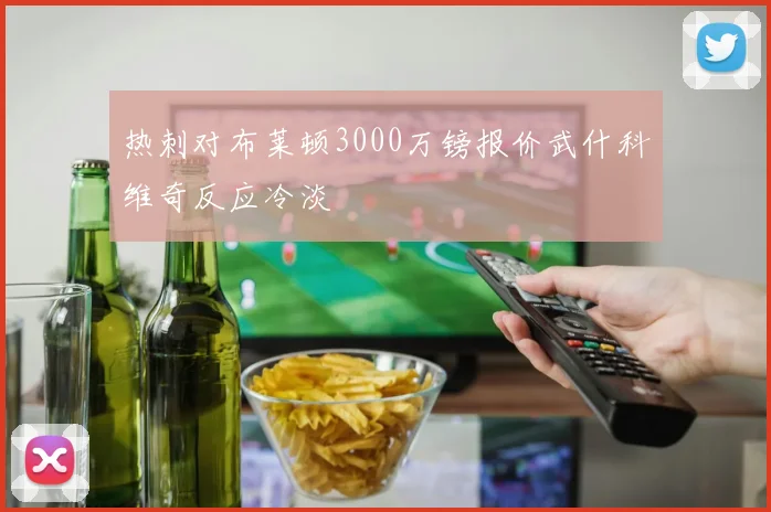 热刺对布莱顿3000万镑报价武什科维奇反应冷淡