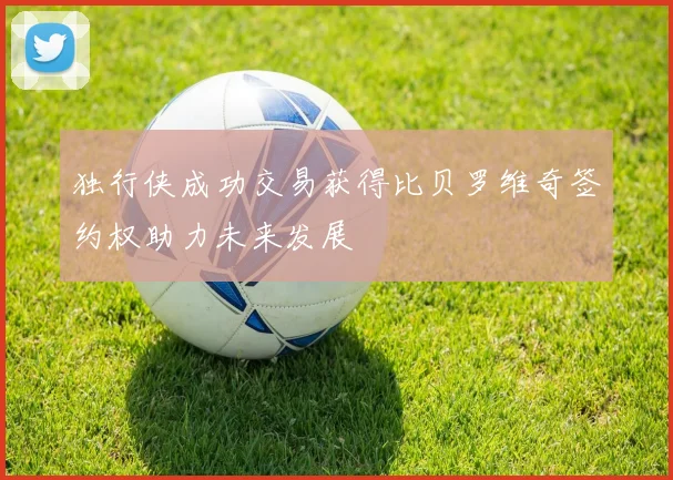 独行侠成功交易获得比贝罗维奇签约权助力未来发展