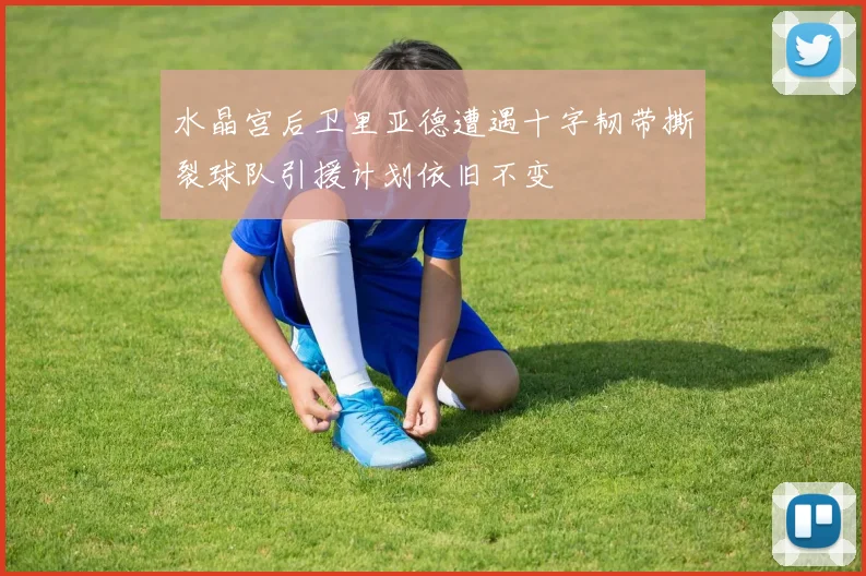 水晶宫后卫里亚德遭遇十字韧带撕裂球队引援计划依旧不变
