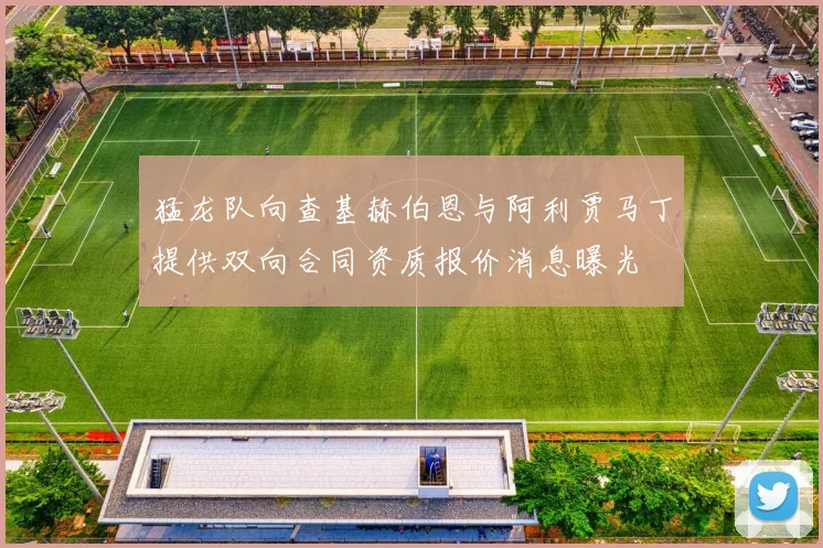 猛龙队向查基赫伯恩与阿利贾马丁提供双向合同资质报价消息曝光